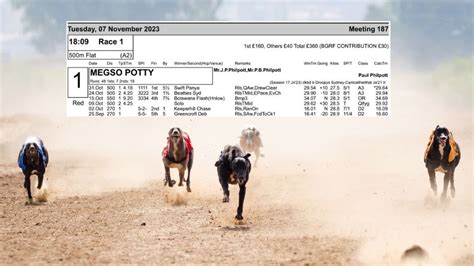 racing post greyhound cards|Tomorrow’s Greyhound Racecards .